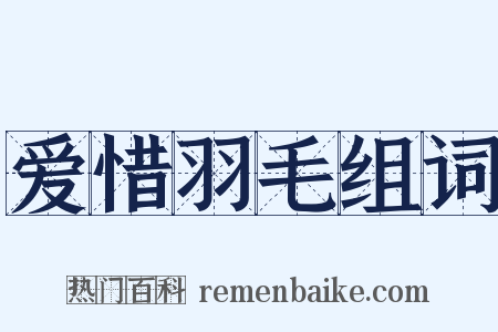 爱惜羽毛组词是什么意思的图片
